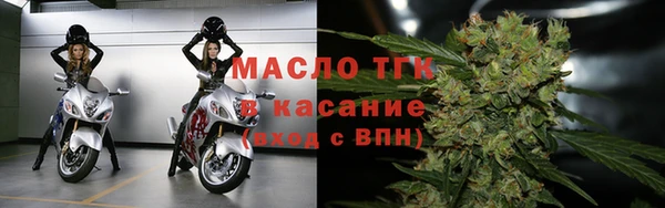 индика Абинск