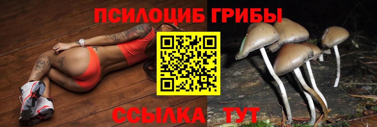 Урюпинск  Галлюциногенные грибы MAGIC MUSHROOMS  Галлюциногенные грибы ЛСД  Вход с VPN 